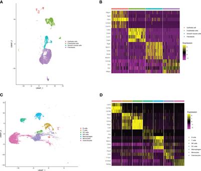 Lung single-cell RNA profiling reveals response of pulmonary capillary to sepsis-induced acute lung injury